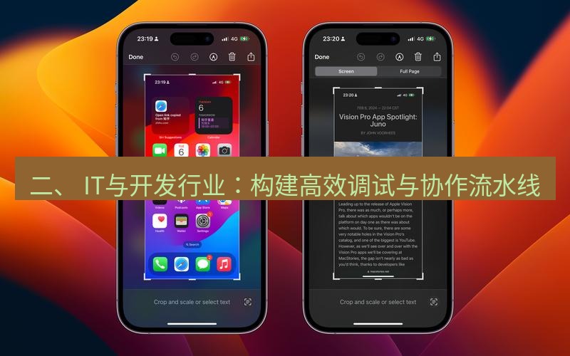 截图工具 二、 IT与开发行业：构建高效调试与协作流水线