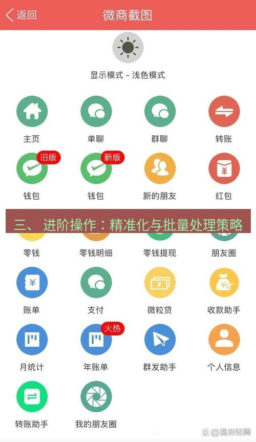 截图工具 三、 进阶操作：精准化与批量处理策略