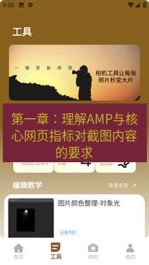 截图工具 第一章：理解AMP与核心网页指标对截图内容的要求