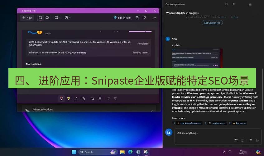 截图工具 四、 进阶应用：Snipaste企业版赋能特定SEO场景