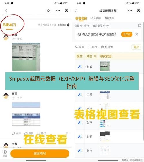 截图工具 Snipaste截图元数据（EXIF/XMP）编辑与SEO优化完整指南