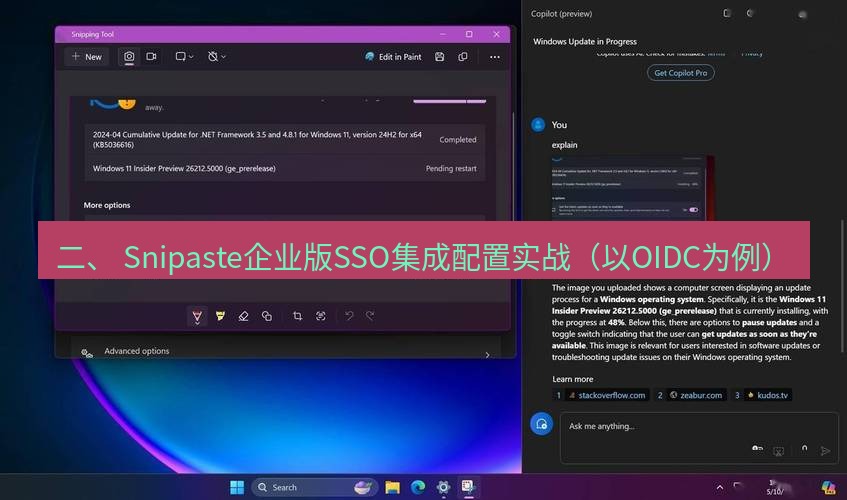 截图工具 二、 Snipaste企业版SSO集成配置实战（以OIDC为例）