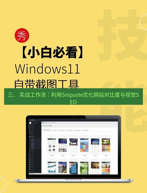 截图工具 三、 实战工作流：利用Snipaste优化网站对比度与视觉SEO