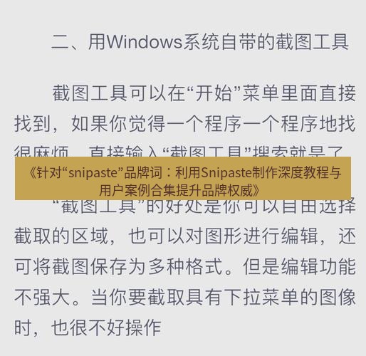 截图工具 《针对“snipaste”品牌词：利用Snipaste制作深度教程与用户案例合集提升品牌权威》