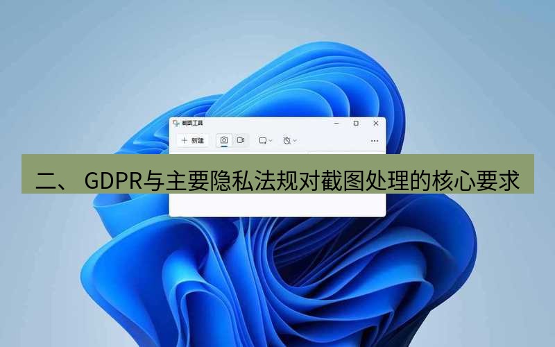 截图工具 二、 GDPR与主要隐私法规对截图处理的核心要求