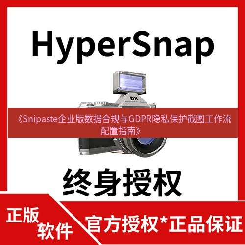 截图工具 《Snipaste企业版数据合规与GDPR隐私保护截图工作流配置指南》