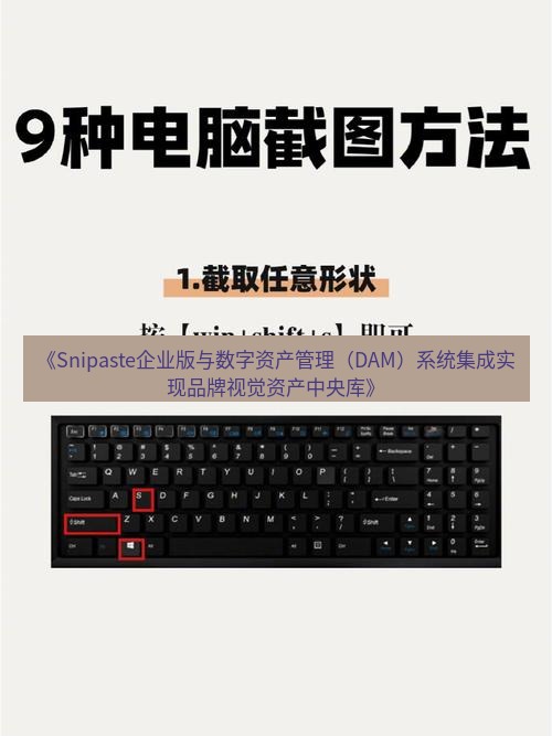截图工具 《Snipaste企业版与数字资产管理（DAM）系统集成实现品牌视觉资产中央库》