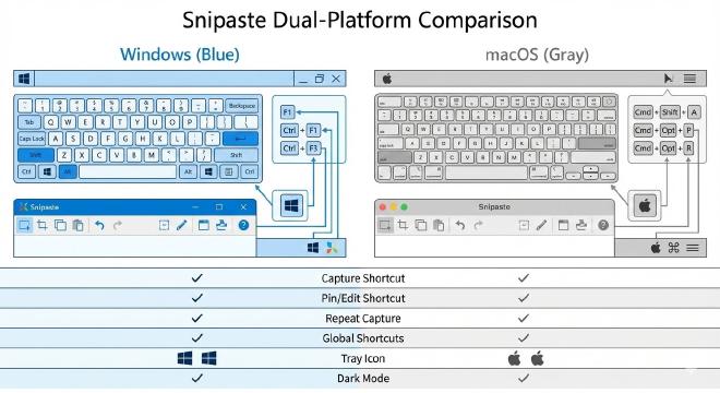 Windows与Mac双平台功能对比