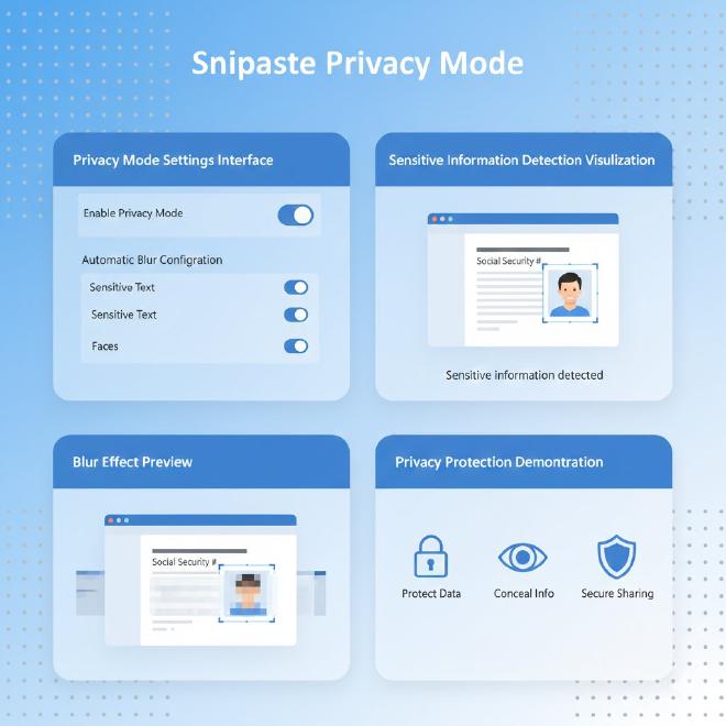隐私模式与自动模糊功能
